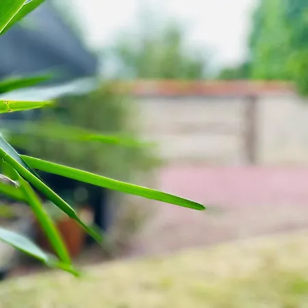 בית נופש Maison Cosy Jardin Des Plantes - 9 Voyageurs - 388 רואן