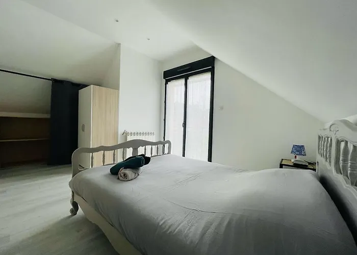 Maison Cosy Jardin Des Plantes - 9 Voyageurs - 388 * Rouen