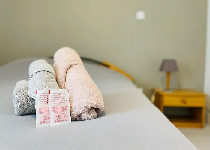 Hébergement de vacances Maison Cosy Jardin Des Plantes - 9 Voyageurs - 388 Rouen