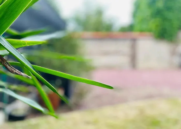 Hébergement de vacances Maison Cosy Jardin Des Plantes - 9 Voyageurs - 388 Rouen